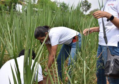 Reforestation drive, Bengaluru, 2022